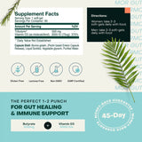 Immune Support