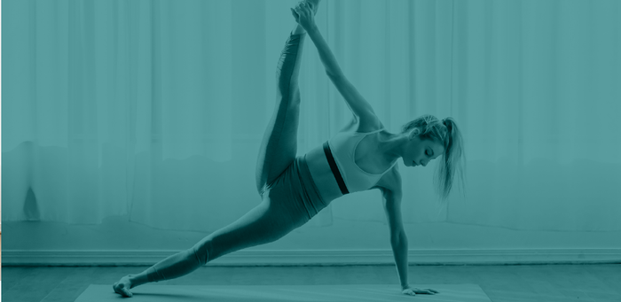 prebiotic and fermented foods for the gut