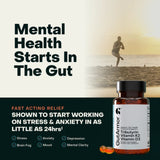 Mental Health Starts in the Gut